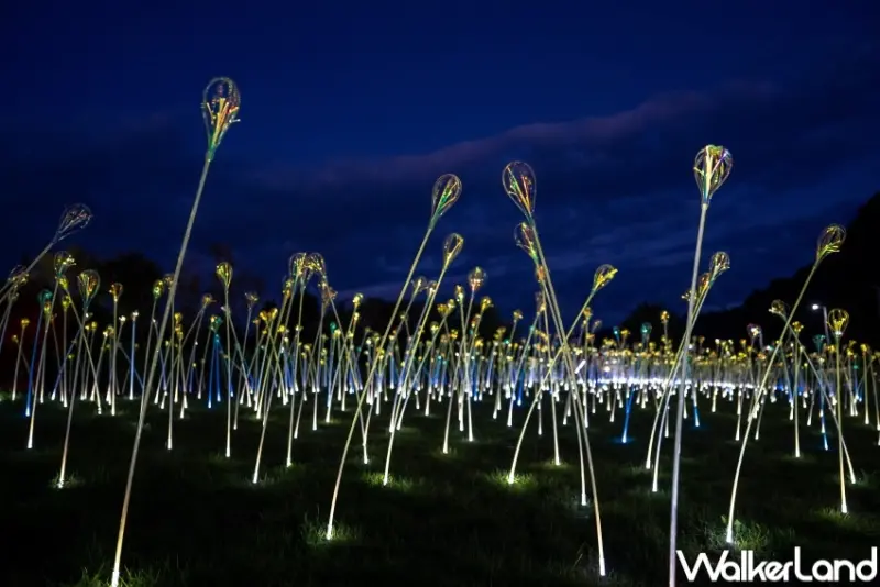 2023台東光祭 回知本．光祭 / WalkerLand窩客島整理提供 未經許可，不得轉載