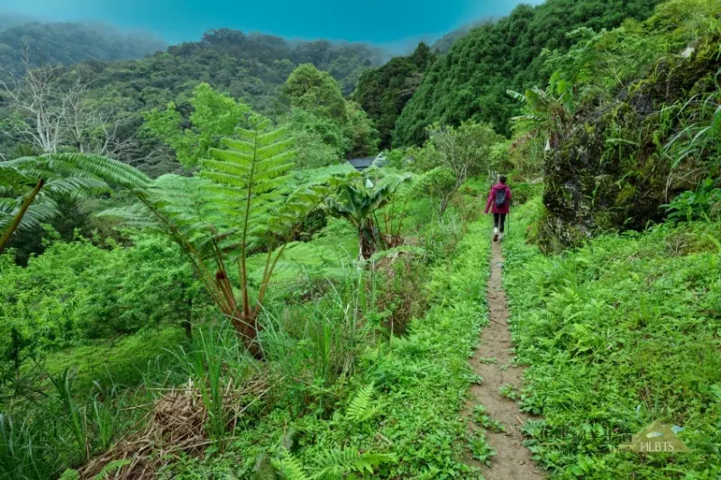 20條花蓮絕美步道 / WalkerLand窩客島整理提供 未經許可，不得轉載