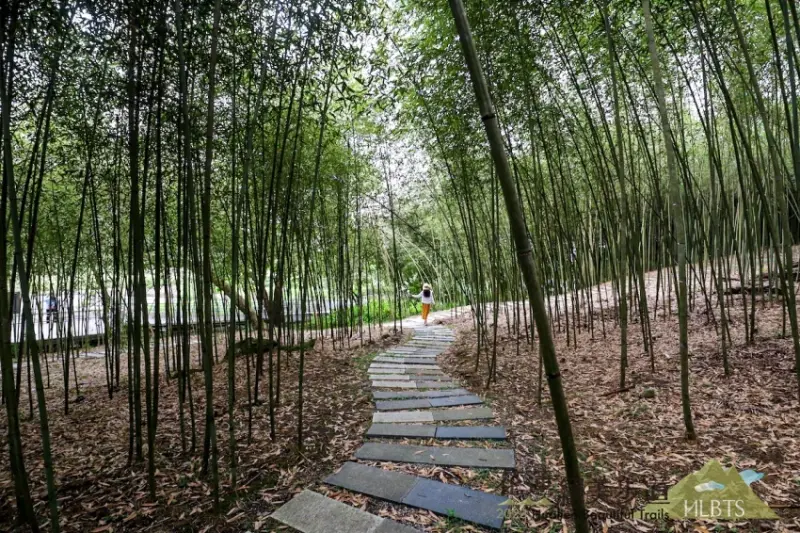 20條花蓮絕美步道 / WalkerLand窩客島整理提供 未經許可，不得轉載