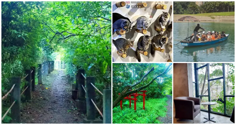 7個安坑景點美拍！新店人秘密基地「神秘貓咖、水岸親子步道」，帶你領略新店安坑的美。