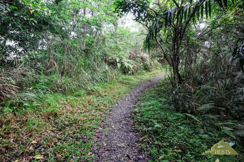 20條花蓮絕美步道 / WalkerLand窩客島整理提供 未經許可，不得轉載