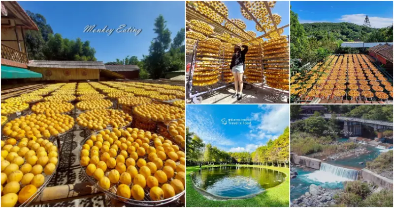 新竹7個自然系景點！季節限定「新竹柿餅觀光農場」美拍景點，7個「新竹自然系景點清單」茶園秘境步道、落羽松打卡點，新竹IG景點要衝。