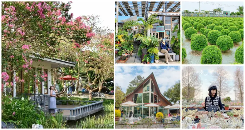 彰化田尾森林系秘境！超紓壓「11個彰化田尾景點」帶你走進最美花鄉，綠意滿滿「台版兼六園」、只開週末「歐風咖啡小木屋」週末放空去。