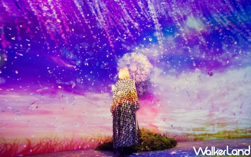 NAKED FLOWERS花之舞光影展 展覽資訊  / WalkerLand窩客島整理提供 未經許可，不得轉載