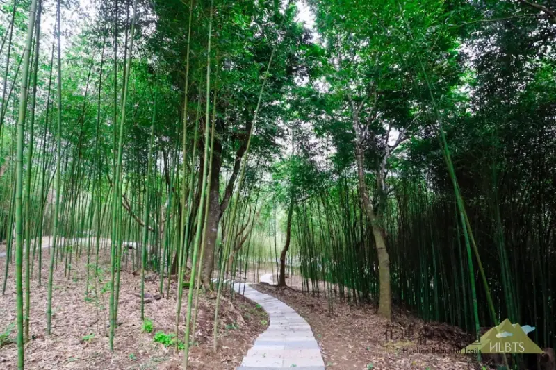 20條花蓮絕美步道 / WalkerLand窩客島整理提供 未經許可，不得轉載