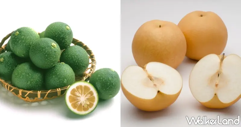 日本溫泉之最「大分縣」必吃物產一次看