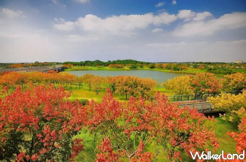 2023雙十國慶台南最美自然景點推薦
