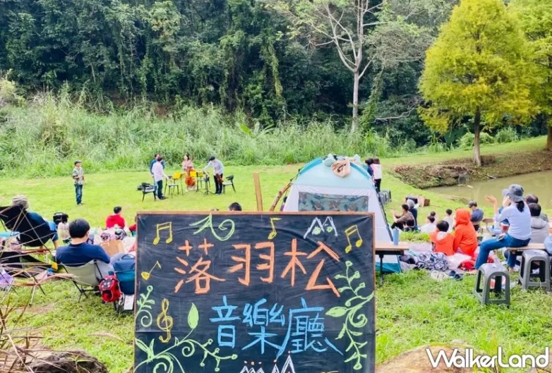 大地農場落羽松漫漫藝術季