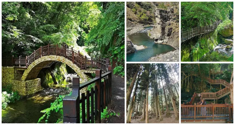 新竹祕境搶收藏！9個必拍「尖石免費景點」新竹人私藏，「夢幻級賞楓祕境、森林系空中步道」帶你玩透新竹溫泉小鎮。