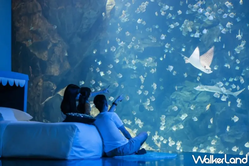 國泰飯店集團2023線上旅展 必買推薦