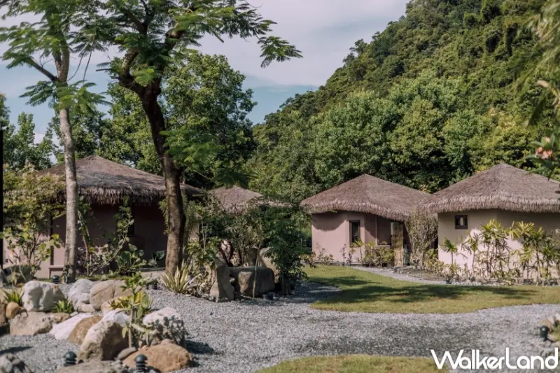 山里蒔花  / WalkerLand窩客島整理提供 未經許可，不得轉載