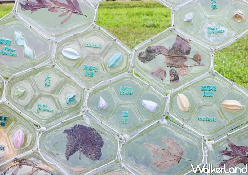 新北濕地藝術季/ WalkerLand窩客島整理提供 未經許可不可轉載