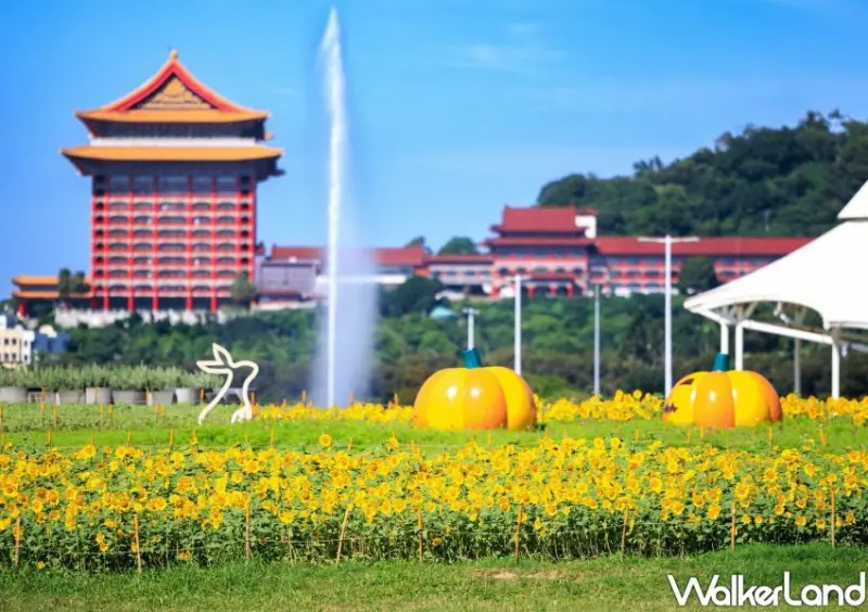 中山區 向日葵花海 / WalkerLand窩客島整理提供 未經許可不可轉載