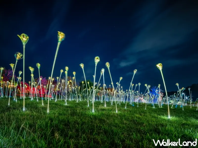 2023台東光祭在知本