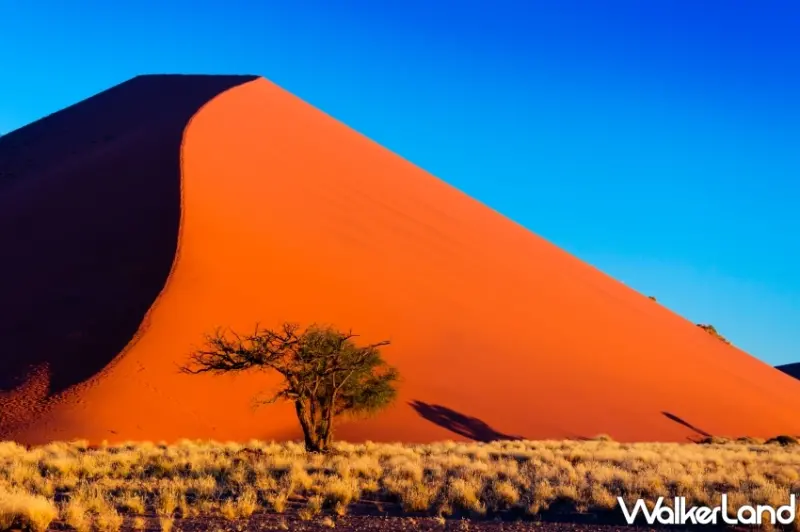 佳繽旅遊線上旅展5大特殊行程