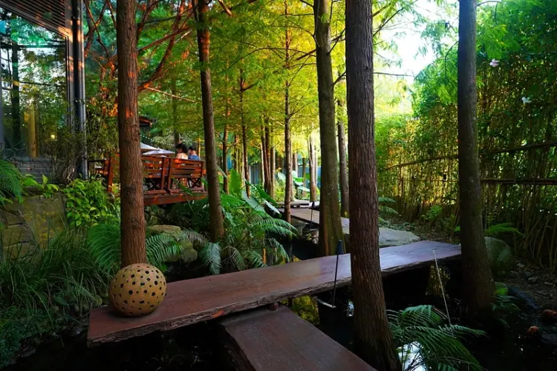 落羽松木棧道，唯美景觀餐廳，享受火鍋、下午茶、港點，台中大坑美食推薦 | 鹿寮享自在