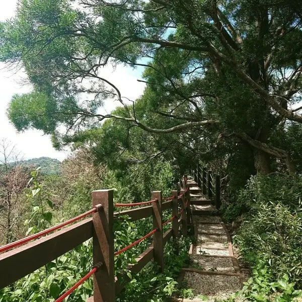 台中自然系景點：新田登山步道/ WalkerLand窩客島整理提供 未經許可不可轉載