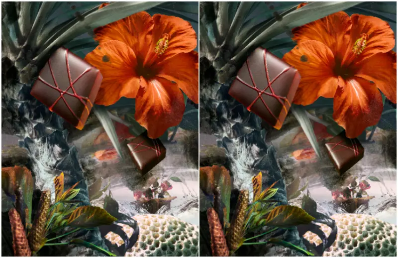 No.4 島胡椒木槿（ Piparchi 及木槿）