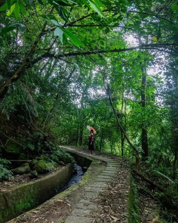 打卡必拍南投景點推薦：長源圳生態步道 / WalkerLand窩客島整理提供 未經許可不可轉載