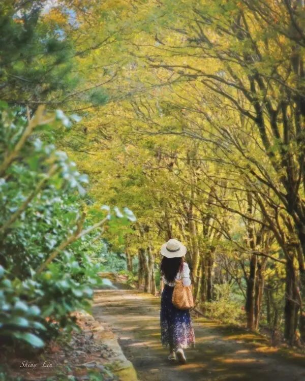 打卡必拍南投景點推薦：松雅園 / WalkerLand窩客島整理提供 未經許可不可轉載