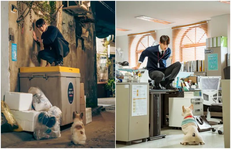 車銀優飾演一位怕狗的數學老師