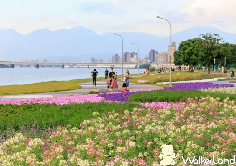 台北延平河濱公園花海 / WalkerLand窩客島整理提供 未經許可不可轉載