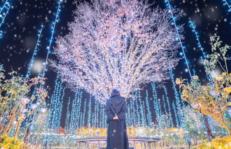 整個活動分為三個時段，每個時段都有特定主題的燈光表演