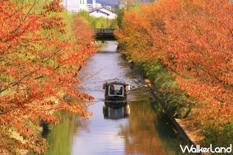 春賞櫻，秋觀紅葉，徜徉於港鎮伏見的酒窖與街景之間