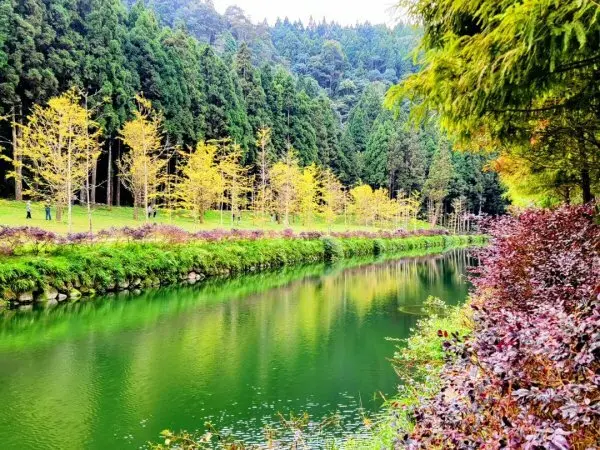 打卡必拍南投景點推薦：杉林溪森林生態渡假園區 / WalkerLand窩客島整理提供 未經許可不可轉載