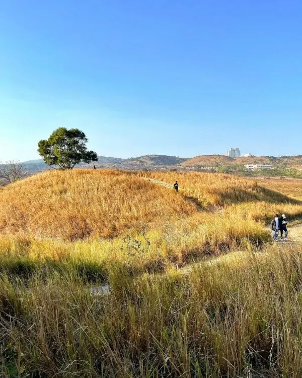 台中自然系景點：雪蓮登山步道/ WalkerLand窩客島整理提供 未經許可不可轉載