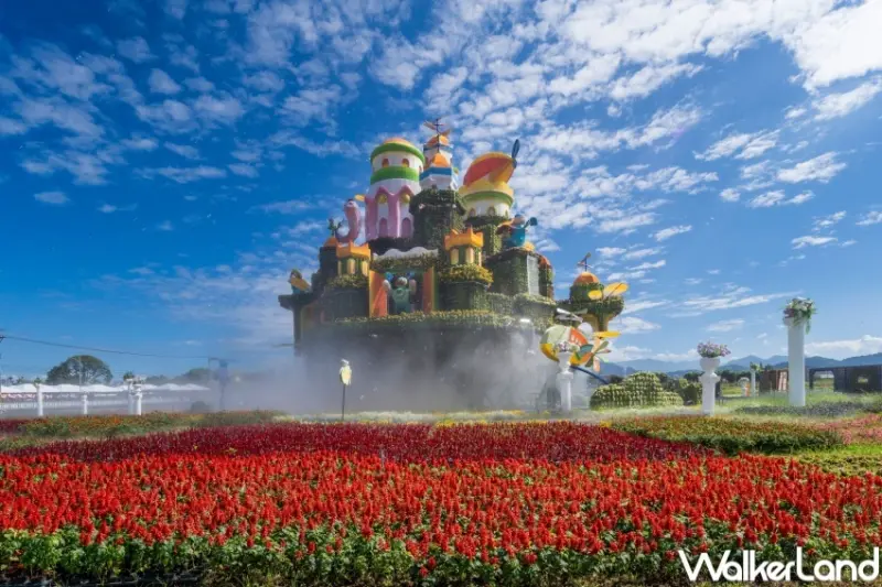 台中新社景點推薦：台中國際花毯節 / WalkerLand窩客島整理提供 未經許可，不得轉載