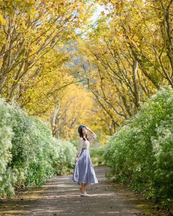 台中自然系景點：沐心泉休閒農場/ WalkerLand窩客島整理提供 未經許可不可轉載