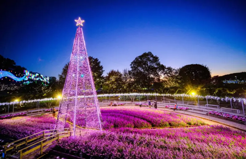 以及「花之城堡」的煙火、及音樂等動人演出，以及以四種不同顏色的藤蔓花創造多彩空間的「光之藤花故事」都值得遊客走訪觀賞