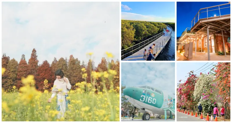 彰化祕境免費拍！7個隱藏版「彰化免費景點」必拍清單，超欠拍「落羽松祕境、夕陽海天步道」領軍IG美拍一次收。