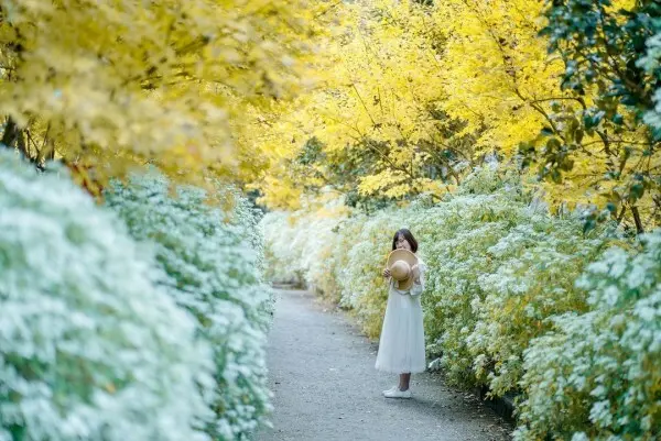 台中自然系景點：沐心泉休閒農場/ WalkerLand窩客島整理提供 未經許可不可轉載