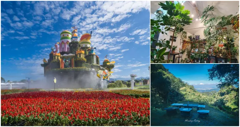 不只台中花毯節！台中新社7大景點攻略，台中國際花毯節、台中新社彩繪牆、新社貓咪花園、新社步道一次收藏。