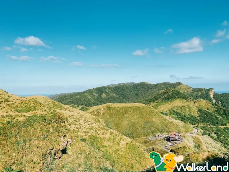 2023新北草嶺古道芒花季