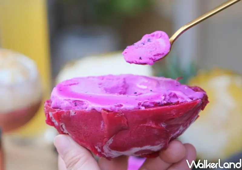 Le Buno 柳橙火龍果義式冰淇淋/ WalkerLand窩客島整理提供 未經許可不可轉載
