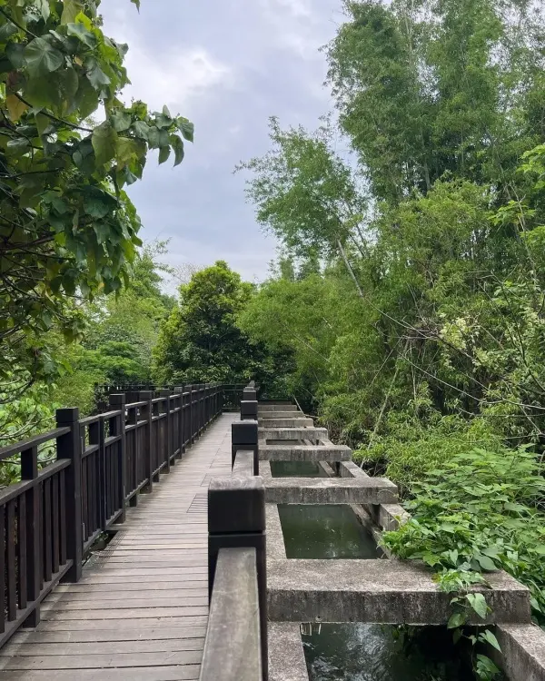 台中自然系景點：知高圳步道/ WalkerLand窩客島整理提供 未經許可不可轉載