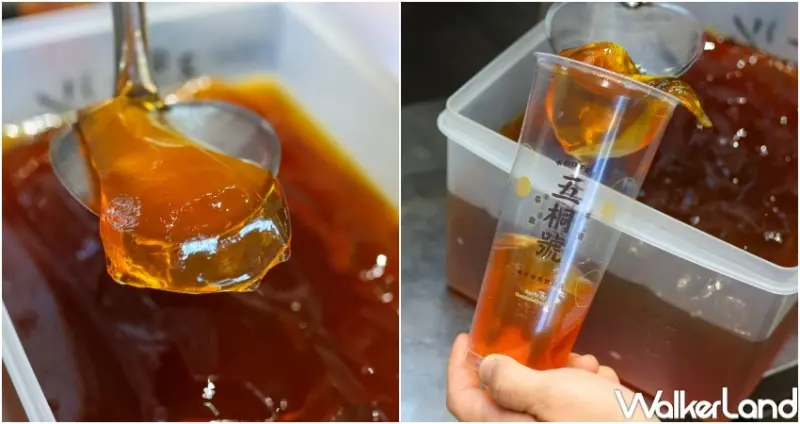 五桐號 綠茶凍 / WalkerLand窩客島整理提供 未經許可，不得轉載