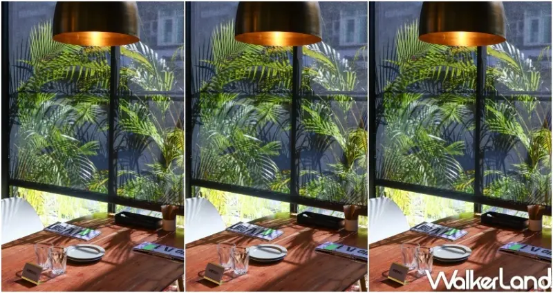 Lille M打卡點 / WalkerLand窩客島提供 未經許可，不得轉載