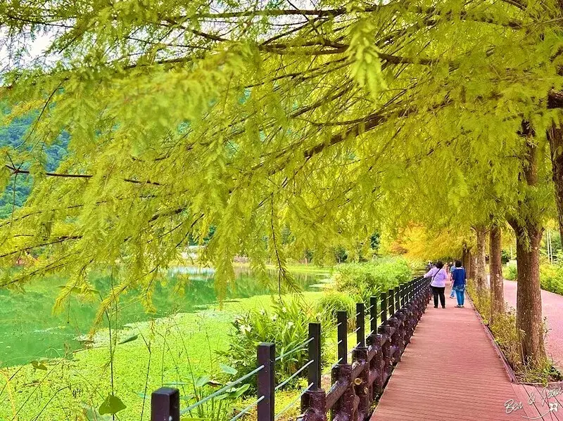  宜蘭人氣湖畔推薦：望龍埤/ WalkerLand窩客島整理提供 未經許可不可轉載