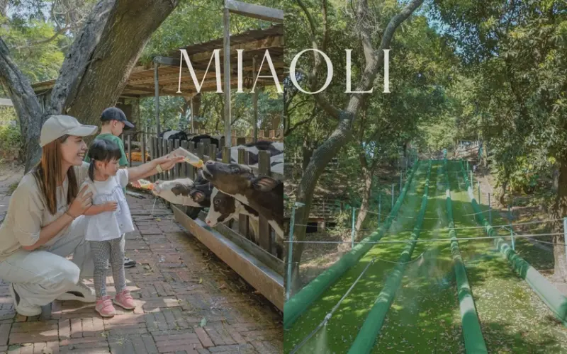 苗栗親子景點》3層樓高競速滑草場、拿奶瓶餵小牛、絕美玻璃屋_四方鮮奶牧場