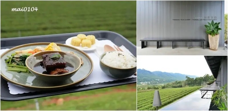 苗栗景點｜苗栗銅鑼茶廠～不用跑到高山上也能享受茶園靜謐之美，提供免費停車場、每人入廠費100元可全額折