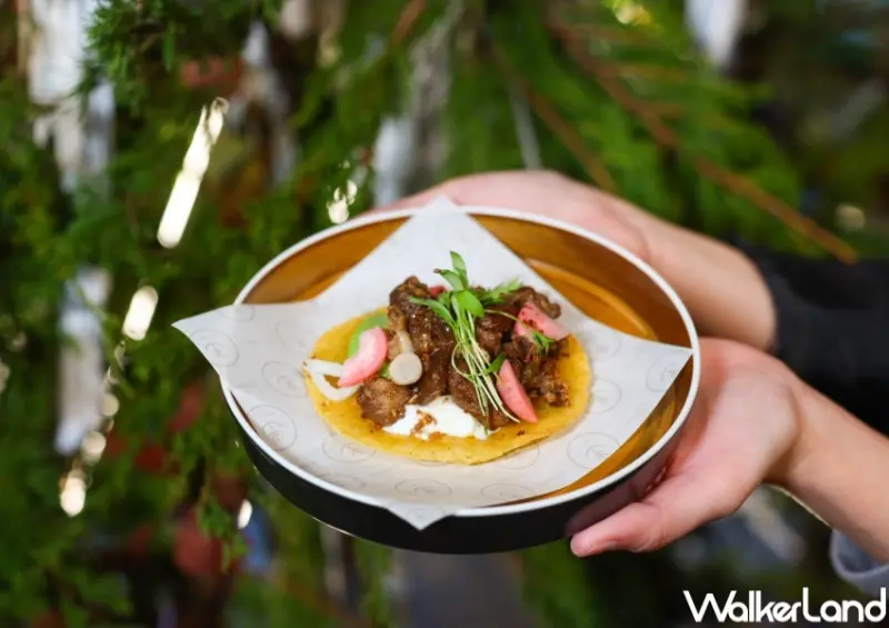 gubami Social 冬季新菜  / WalkerLand窩客島整理提供 未經許可，不得轉載