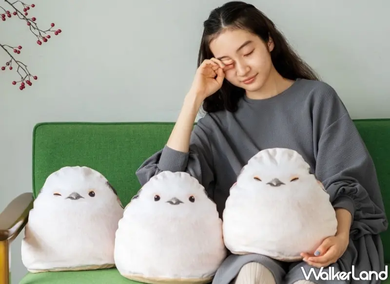 日本雜貨 FELISSIMO POP UP STORE 