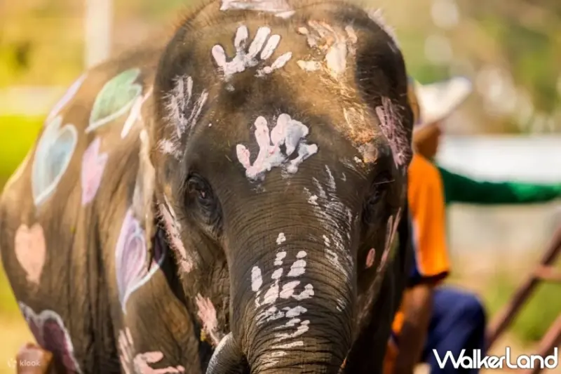 Klook公布2023國人出國旅遊Top 10民調榜單