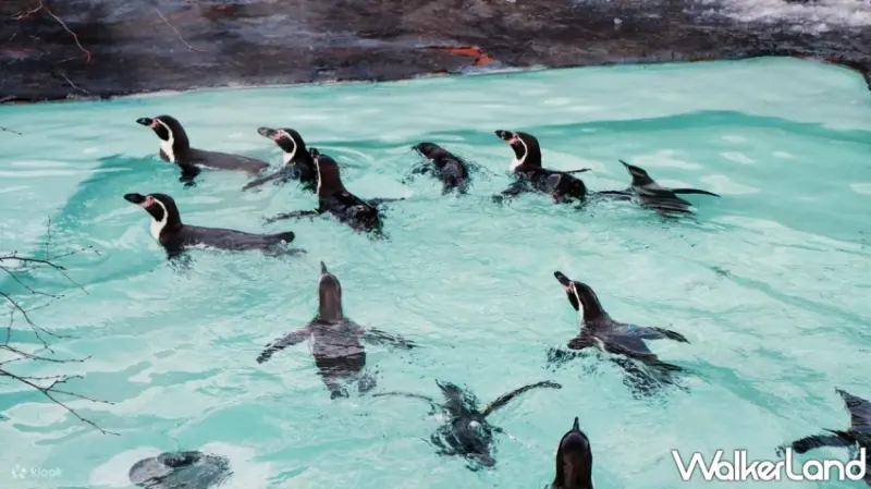 Klook公布2023國人出國旅遊Top 10民調榜單