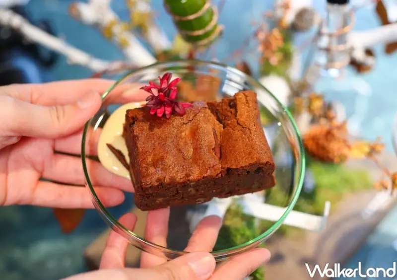 gubami Social 冬季新菜  / WalkerLand窩客島整理提供 未經許可，不得轉載