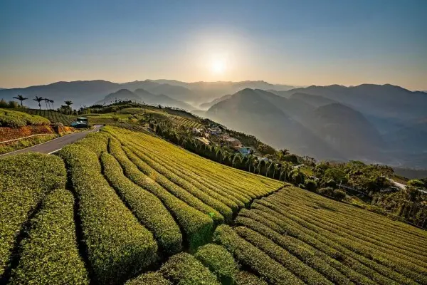 新年日出觀賞勝地推薦：嘉義阿里山碧湖景觀亭 / WalkerLand窩客島整理提供 未經許可不可轉載